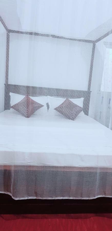 Exotic Beach Hotel 阿鲁甘湾 外观 照片